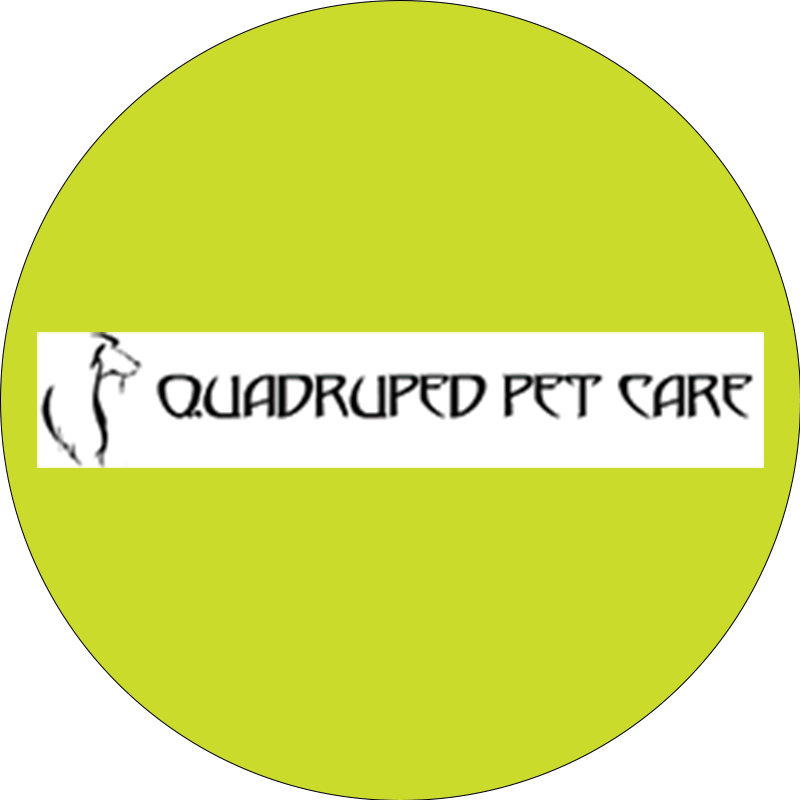 Quadruped