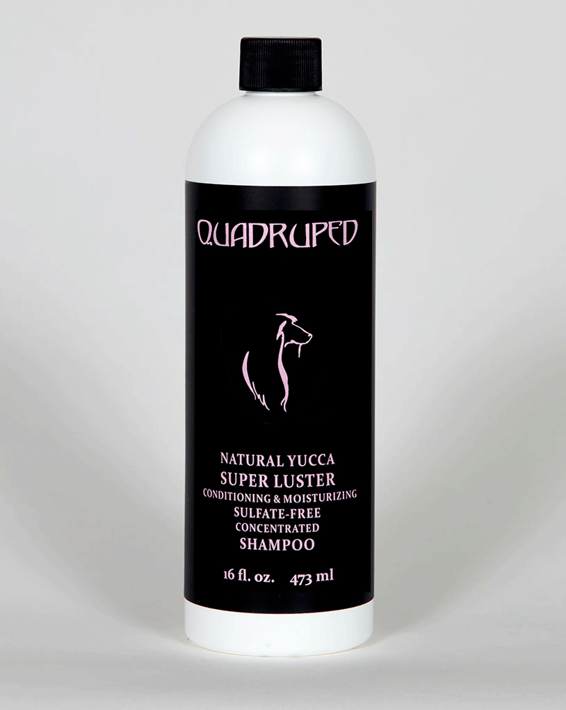 Quadruped Super Luster Shampoo 16oz