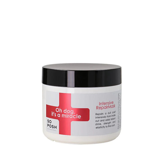 So Posh Oh Dog, It's a Miracle Intensive Repair Mask